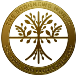 Logo of Angel Tribe